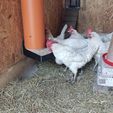 1677407578447.jpg poultry feeder