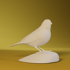 0000.png Canary