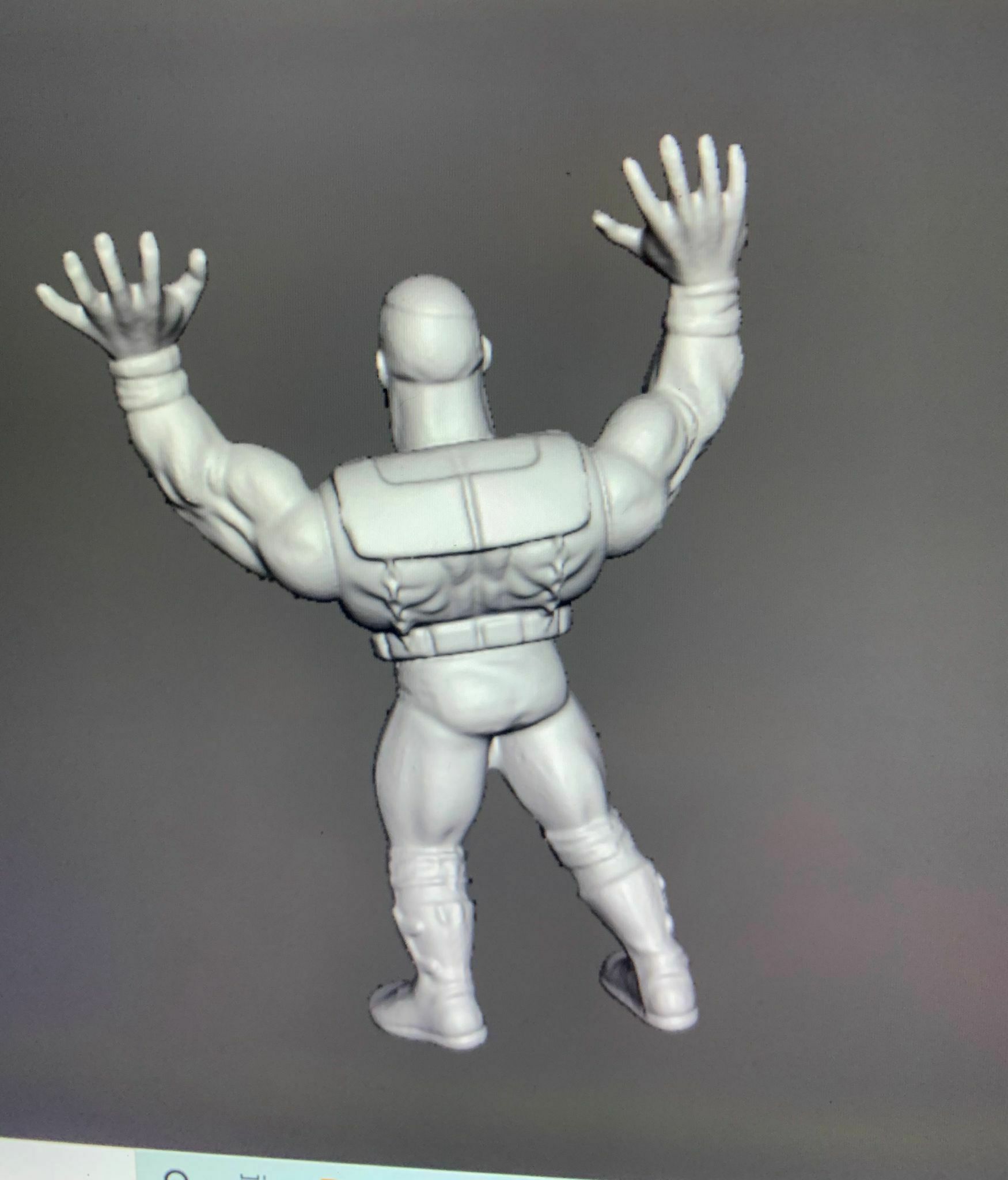 wwf hasbro warlord
