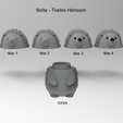 versions.png Caja erizo