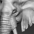 11.jpg Elephant African Head