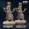 resize-001-9.jpg Seekers of the Ethernal Moon ALL VARIANTS - MINIATURES 2023