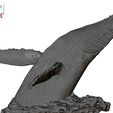 Humpback-Whale-Head-off-the-Water-color-13.jpg Humpback Whale Head off the Water 3D printable model