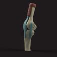 rodilla_1_v1_2023-May-17_06-10-15PM-000_CustomizedView5327256173_jpg.jpg Knee medical Model (Knee bone with ligaments medical model)