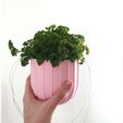 IMG_20181217_150223.jpg STL file Autonomous hanging pot・3D printer design to download