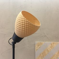 Dragon Shell | Tisch-, Pendel-, Wand- und Bodenleuchte