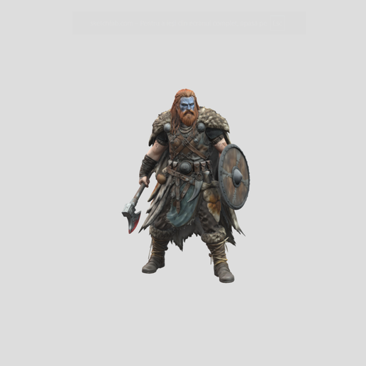 Viking Warrior