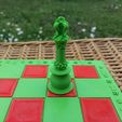 picture-(11).jpg Garden Chess Set