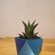 IMG_20250713_141412.jpg Twisted Pentagonal Planter