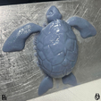 Turtle01.png TORTUE ARTICULÉE - Articulated Sea Turtle