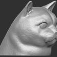 5.jpg British Shorthair cat head for 3D printing