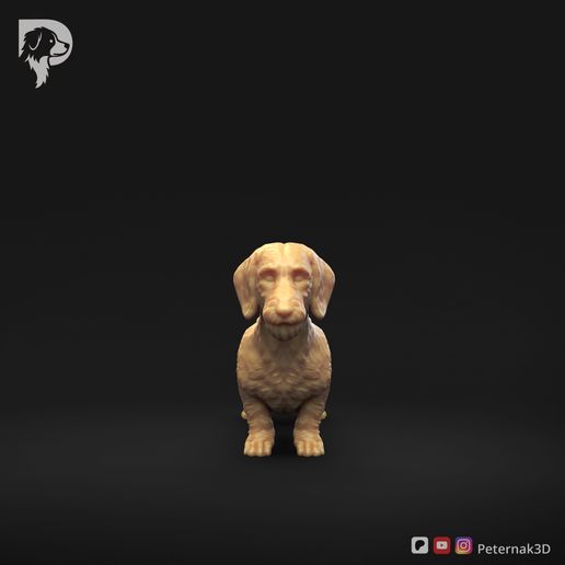Dachshund-Miniature-Wire-Haired-Pose-01-Dog-3D-Print-10s.jpeg Dackel Miniatur Drahthaar Pose 01