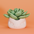 Skull-Pot1-plant3.png Skull Cat Plant Pot