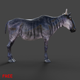 05.png Archivo STL gratis Animal Gnu・Objeto de impresión 3D para descargar, Mister_lo0l_