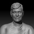 Pergo2.jpg Mario Pergolini printable bust