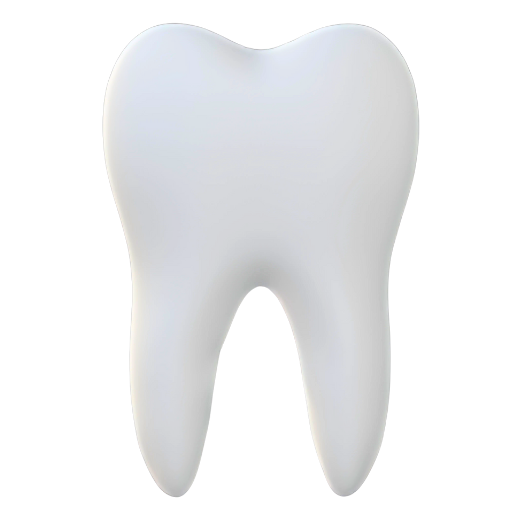 Tooth-2.png Dente humano