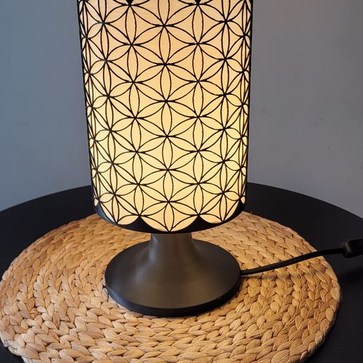 20240826_152302.jpg Flower of life 3. lampshade