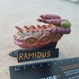 Ramidus Class.jpg STL file Ramidus Class Organic Starship・3D print design to download, Ellie_Valkyrie
