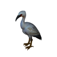 white-heron-bird.png white heron bird
