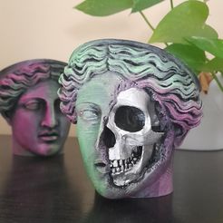 20231103_141248.jpg Skull of Corinth planter