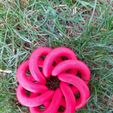 f636d564-8309-44f5-ae41-d2722c282c81.jpg Torus knot decoration