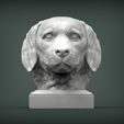 Golden_retriever4.jpg Golden retriever 3D print model