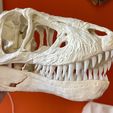 Esqueleto de T-rex a tamaño real - Parte 10/10