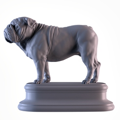 001.png STL-Datei Englische Bulldogge・3D-Drucker-Vorlage zum herunterladen