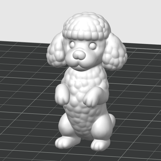 Poodle standing. 3D model