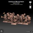 UNDEAD BEASTMEN CHAIN MAIL AXEMEN BASES INCLUDED 11 MODELS, 5 SHIELDS AND 4 BASES ET; fn na tolrcty Ni Boa. Ro) Bc} Sat) 1 al Undead Beastmen Chain Mail Axemen