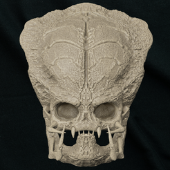 Predador_skull-1.png Fichier STL Crâne de prédateur・Idée pour impression 3D à télécharger
