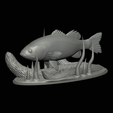 bass-na-podstavci-15.png bass 2.0 underwater statue detailed texture for 3d printing