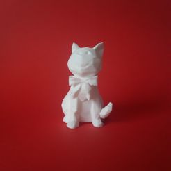 Gato elegante