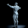 Untitled_Viewport_007.png Anatomia Humana Musculacion - Muscle Anatomy human adapted Print