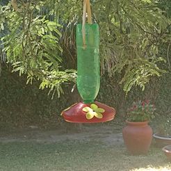 1.jpg colibri drinker - feeder