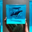 whale2.jpg Archivo STL FAMILIA BALLENAS PARA DIORAMA ACUÁTICO・Objeto imprimible en 3D para descargar