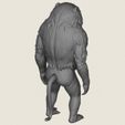 Baboon-Monkey-Standing-08.jpg Baboon Monkey Standing