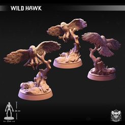 aU RB real 4 me 25mm 4 STL-Datei Wild Hawk・3D-Druckvorlage zum Herunterladen