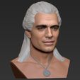 36.jpg Geralt of Rivia The Witcher Cavill bust full color 3D printing