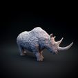 Woolly_rhino_7.jpg Woolly rhinoceros