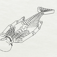 Screenshot_5.png mermaid skeleton