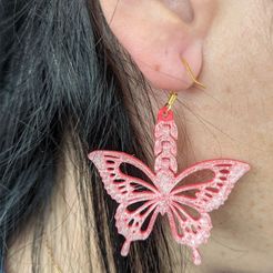 photo_2022-02-10_19-48-07.jpg pendienes mariposa / butterfly earrings