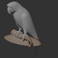 Parrot6.png Papagaio