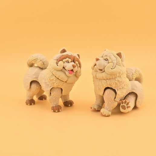 20260726_134234.jpg Articulated Chow Chow 🐾✨