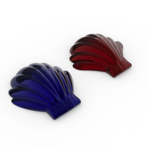 shell from the beach 3D model