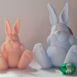 20230321_105106.jpg STL file Easter Bunny・3D printer design to download