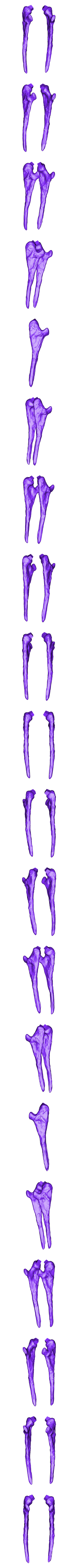 Cervical_ribs_03.obj OBJ file Life size Citipati (Oviraptor) skull and cervical vertebrae・3D printing template to download, Inhuman_species
