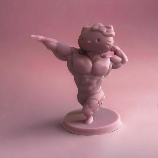 WhatsApp-Image-2023-07-28-at-19.24.49.jpeg HELLO KITTY SWOLE body 2