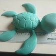 IMG_20210428_100323_503.jpg ARTICULATED LITTLE TURTLE - FLEXI PRINT-IN-PLACE ARTICULATED TURTLE