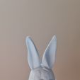 20230321_104336.jpg STL file Easter Bunny・3D printer design to download